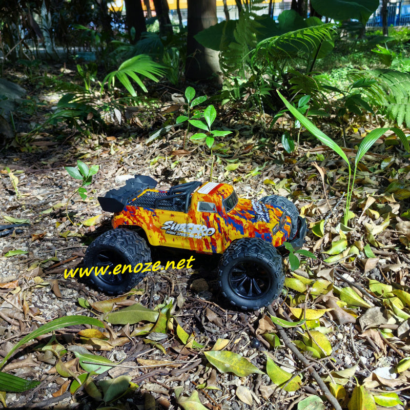 Enoze 9500E 1/16 Brushed RC Car